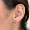 Aretes Willdom