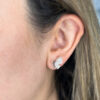 Aretes Monarca